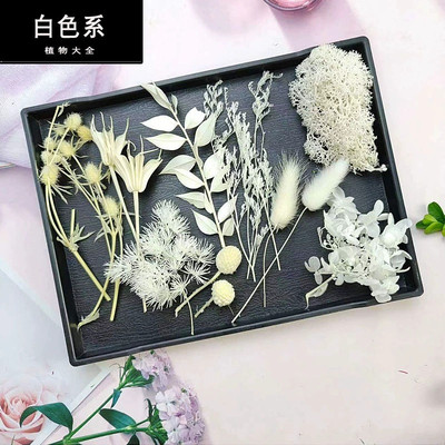 白色DIY礼物叶子手工制作团扇