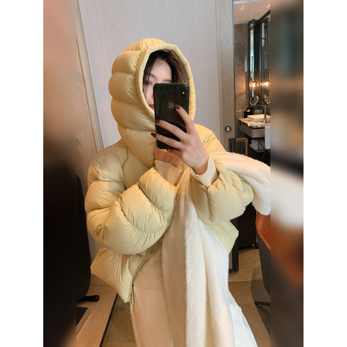 骆衣衣TheLOE/90白鹅绒立领宽松休闲百搭短款鹅绒服