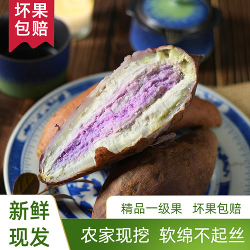 高州冰淇淋红薯新鲜现挖花心番薯