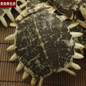 包邮 鳖甲500g 鳖甲500克 正品 250g 免邮 道地中药材鳖甲一份250克起