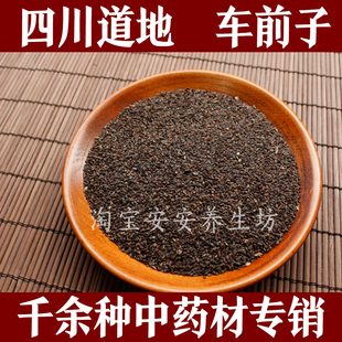 四川车前仁散装车前子500克5斤包邮车前仁500g 泡水 车前子中药材