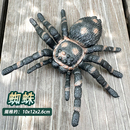 大号昆虫动物仿真模型蜘蛛蝗虫蝎子蚂蚁独角仙儿童科教认知摆件