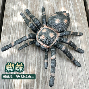 大号昆虫动物仿真模型蜘蛛蝗虫蝎子蚂蚁独角仙儿童科教认知摆件