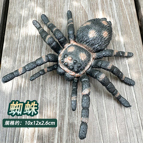 大号昆虫动物仿真模型蜘蛛蝗虫蝎子蚂蚁独角仙儿童科教认知摆件