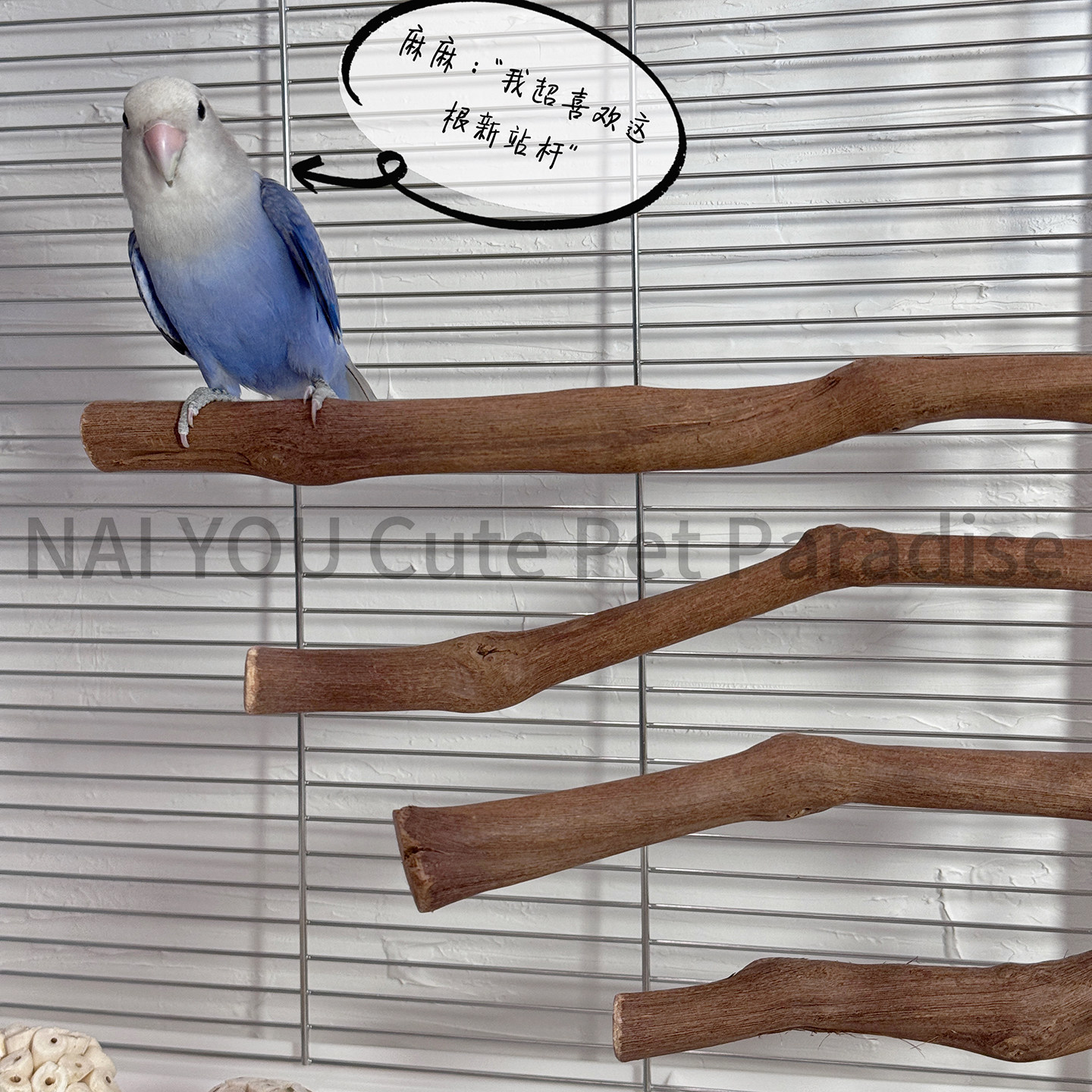 葡萄木不规则鹦鹉站棒15cm20cm25cm30cm天然葡萄树枝原木鸟站棍