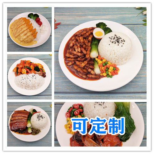 仿真中餐假菜台式卤肉饭模型定制