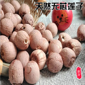 野生莲子农家手工剥皮 无芯红皮莲子湖池塘