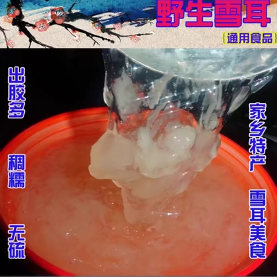 通江银耳无硫磺香糯口感