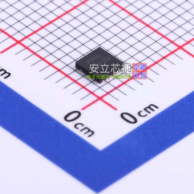 DC-DC电源芯片 PAM2401YPADJ WDFN-12 DIODES(美台) 电子元件配单