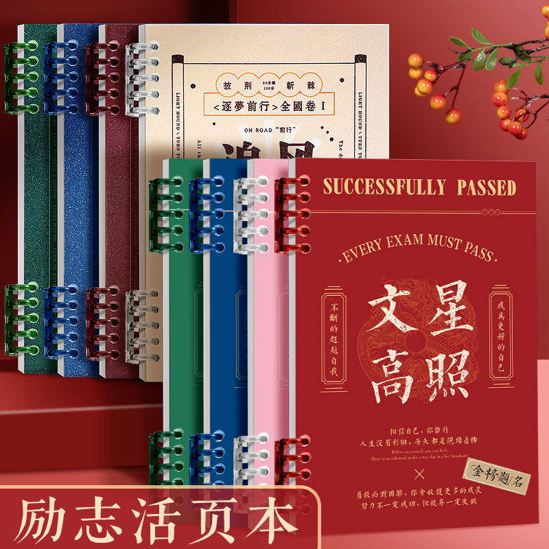 励志b5不硌手活页本a5线圈笔记本