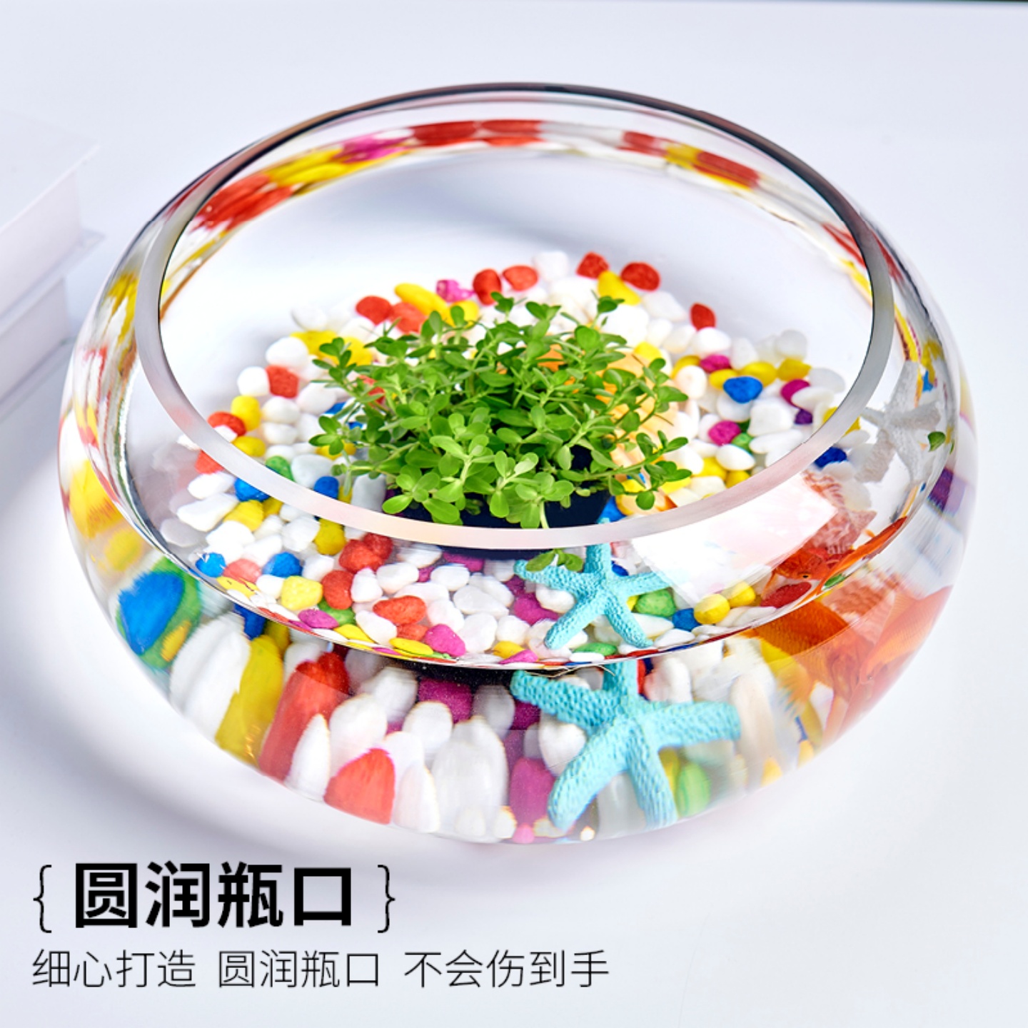 办公室小鱼缸加厚透明玻璃乌龟缸客厅家用桌面圆形迷你小型金鱼缸