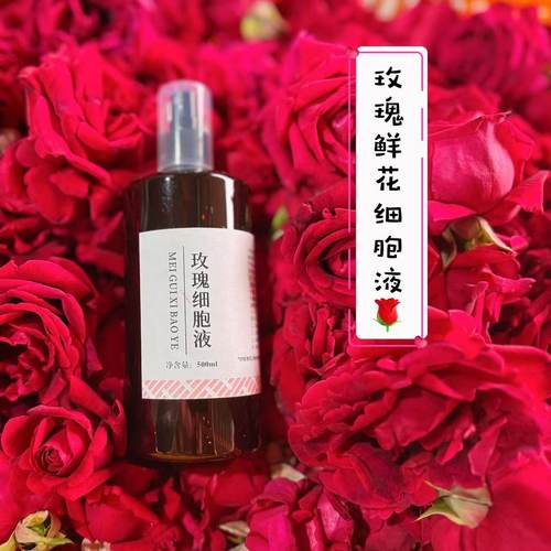 大理玫瑰细胞液纯露500ml花卉水