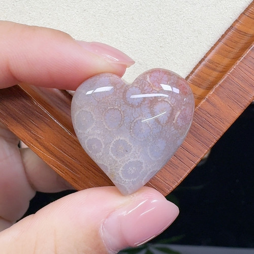 渐变粉雏菊花爱心