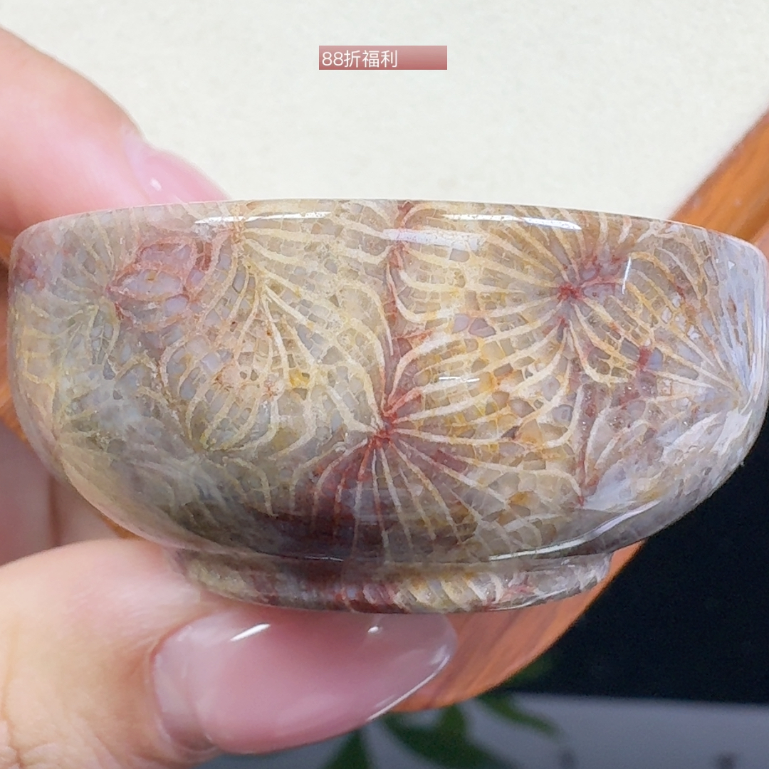 彩瓷片凤尾茶杯