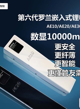 罗兰电吹管嵌入式数显锂电池AE10AE20AE30超薄长续航原装正品安全