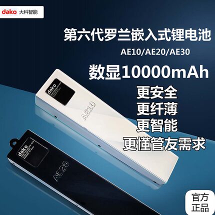 罗兰电吹管嵌入式数显锂电池AE10AE20AE30超薄长续航原装正品安全