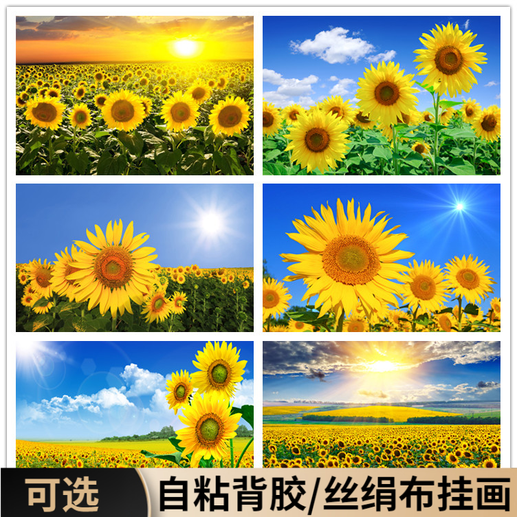 向日葵沙发装饰画挂画太阳花自粘墙贴纸壁画图案油画风景床头海报