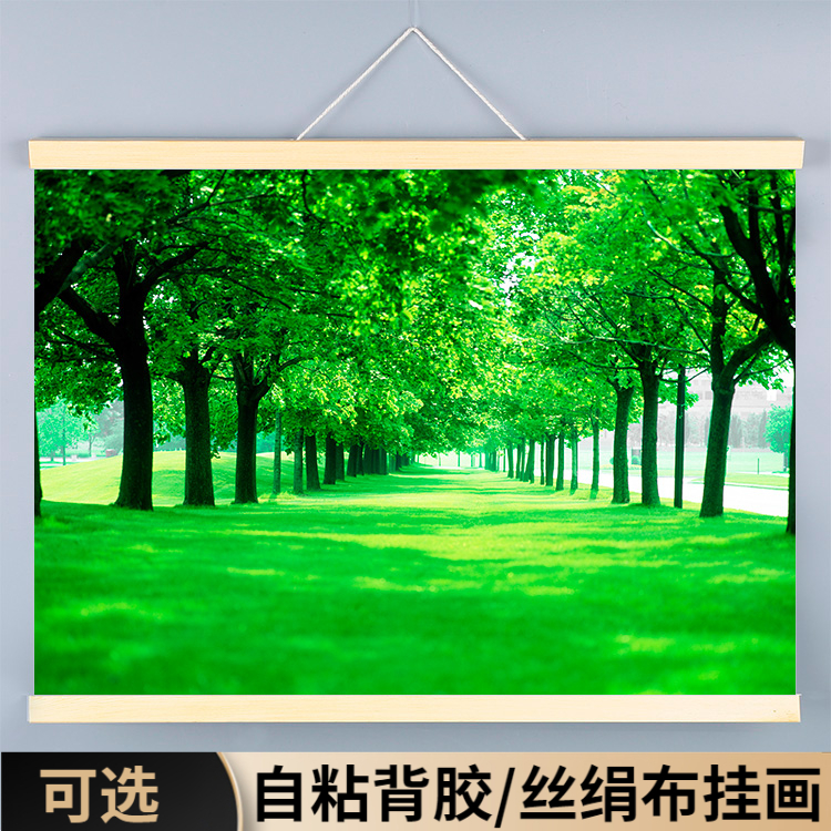 树林风景装饰挂画背景墙贴纸绿色护眼图卧室壁纸客厅图绿树木森林图片