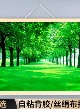 树林风景装饰挂画背景墙贴纸绿色护眼图卧室壁纸客厅图绿树木森林