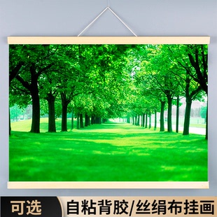 树林风景装饰挂画背景墙贴纸绿色护眼图卧室壁纸客厅图绿树木森林