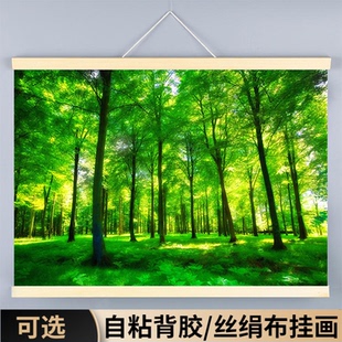 森林视频风景装饰挂画客厅沙发背景墙贴树林清晨阳光仙境大树木