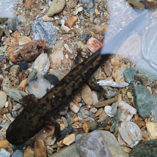 积德行善功德回向招财保平安