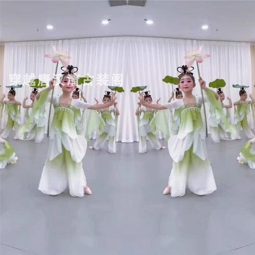 女中国风古典荷花荷叶舞