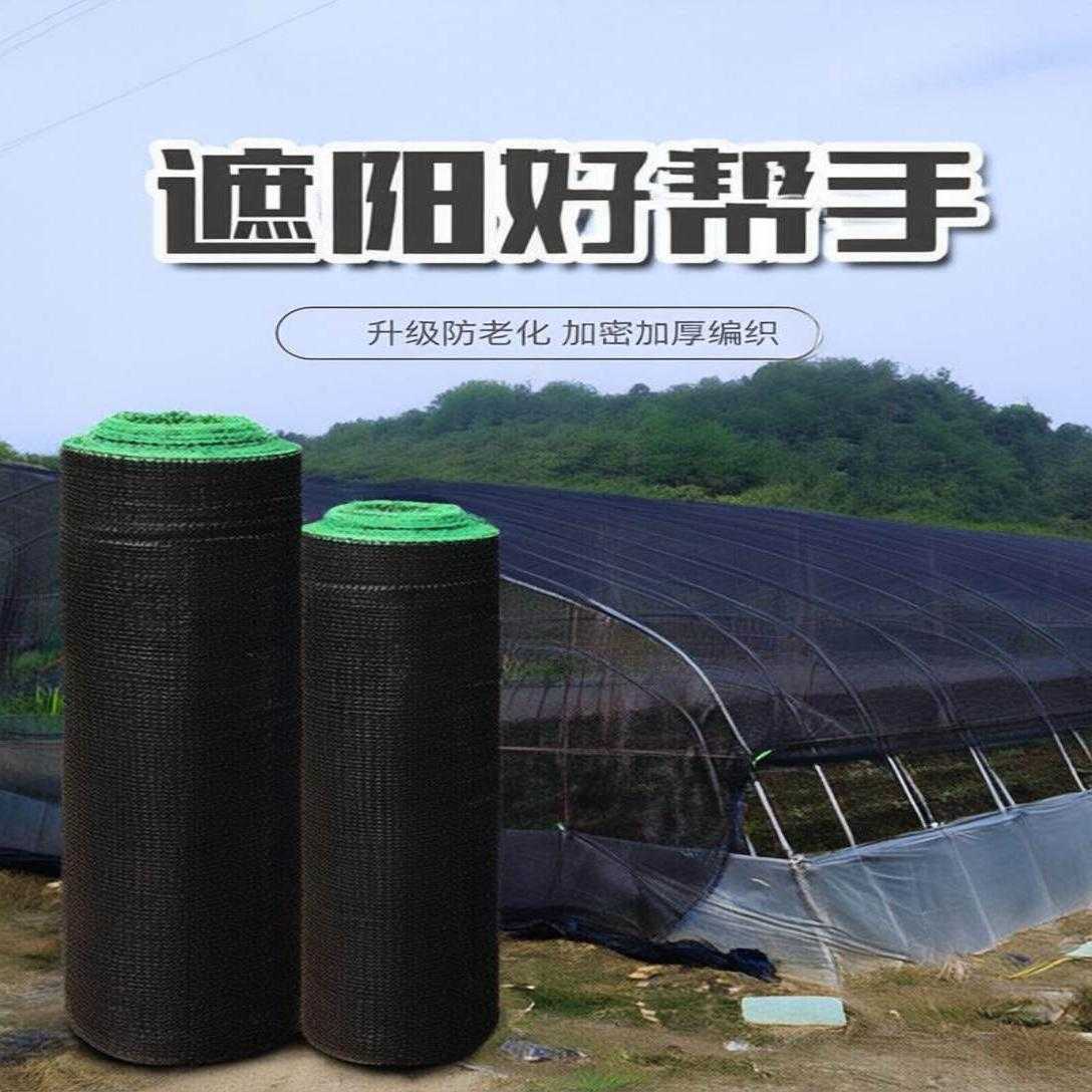 遮阳网防晒网菜地专用全新大网率小中药材篷布隔热布阳台半园艺的