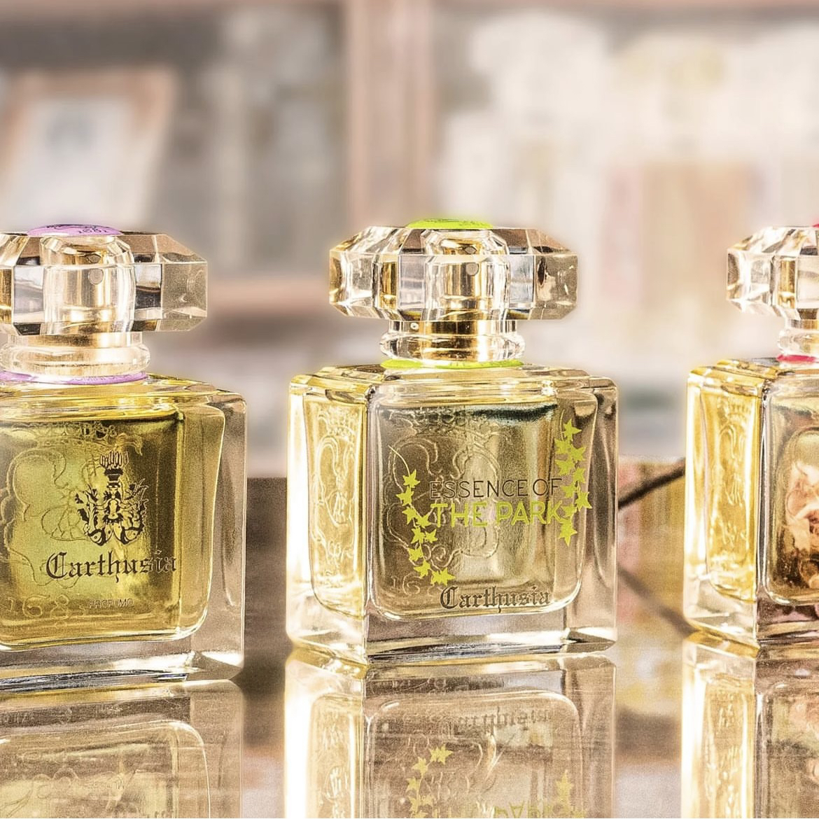 地中海歌剧院特拉米亚卡普里岛