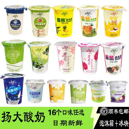 扬大茉莉花酸奶樱花黄桃凤梨芒果草莓青柠檬小苹果味扬州大学冷藏