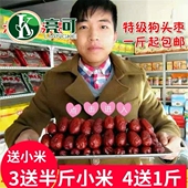 正宗延安六星狗头枣子陕北大枣干滩陕西安优质特产500g红枣