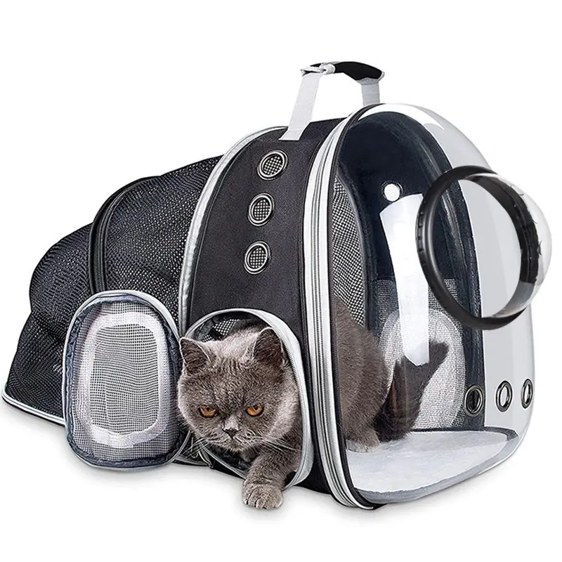 宠物外出包全景透明猫咪背包侧开