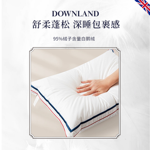清仓不支持退换英国Downland Clima白鹅绒乳胶复合枕秋冬新品