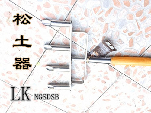 。松土器草坪松土打孔神器可替代钉鞋英国bb园艺Berry&Bird