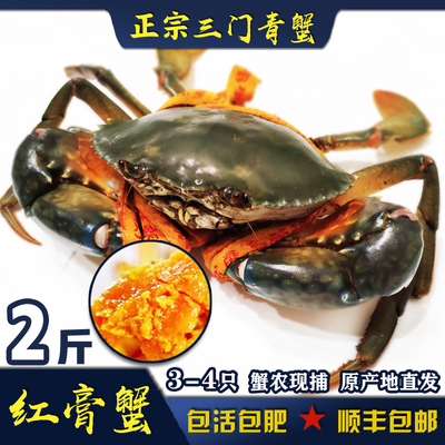 三门特产青蟹母膏蟹鲜活大肉净重