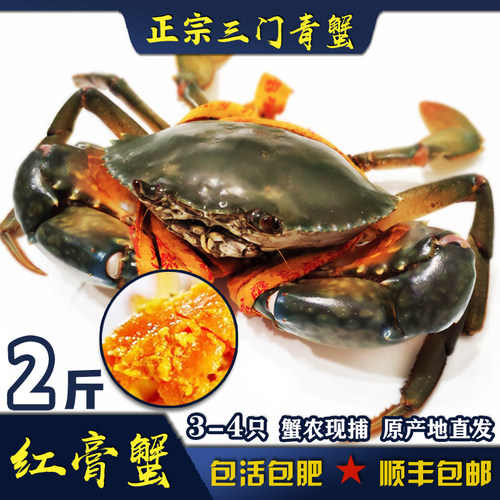 三门青蟹母膏蟹季鲜活大肉净重