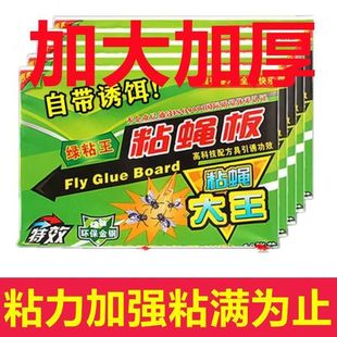 强力粘苍蝇贴自带诱饵粘虫板家用室内灭苍蝇神器商用餐饮店强力胶