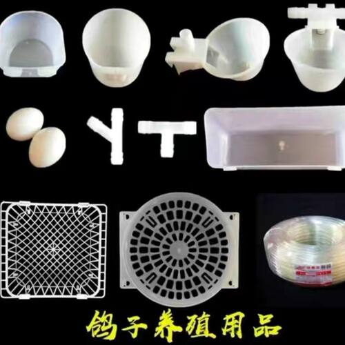 鸽子肉鸽用品用具养殖配件喂食器食盒蛋窝砂杯自动饮水器鹌鹑水杯