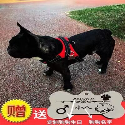 狗狗牵引绳泰迪胸背带刻字狗牌防走丢宠物身份牌中小型犬狗背心式