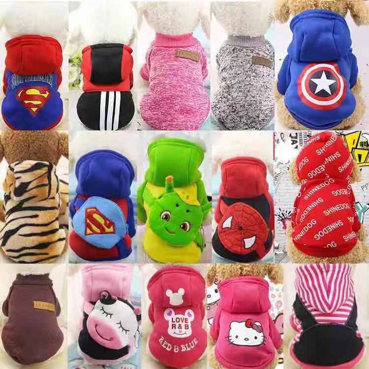 小狗狗比熊猫咪博美法斗柯基比熊