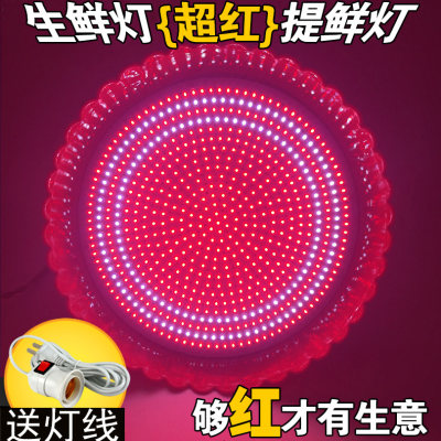 led大瓦数猪肉灯25w2圈超红加亮