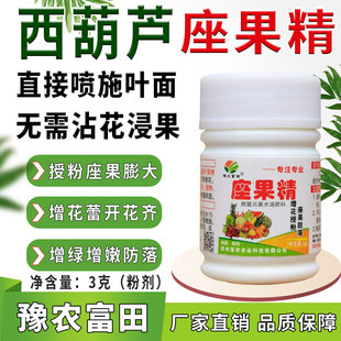西葫芦座果精叶面喷施代替沾花浸果西葫芦授粉座果膨果增雌花增绿