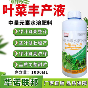 叶菜丰产素蔬菜叶面肥绿叶健株茎秆粗壮叶色鲜嫩香菜空心菜白菜等
