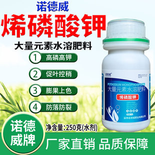 烯磷酸钾叶面肥高磷钾水溶肥膨果着色增甜促早熟控旺控稍防畸形