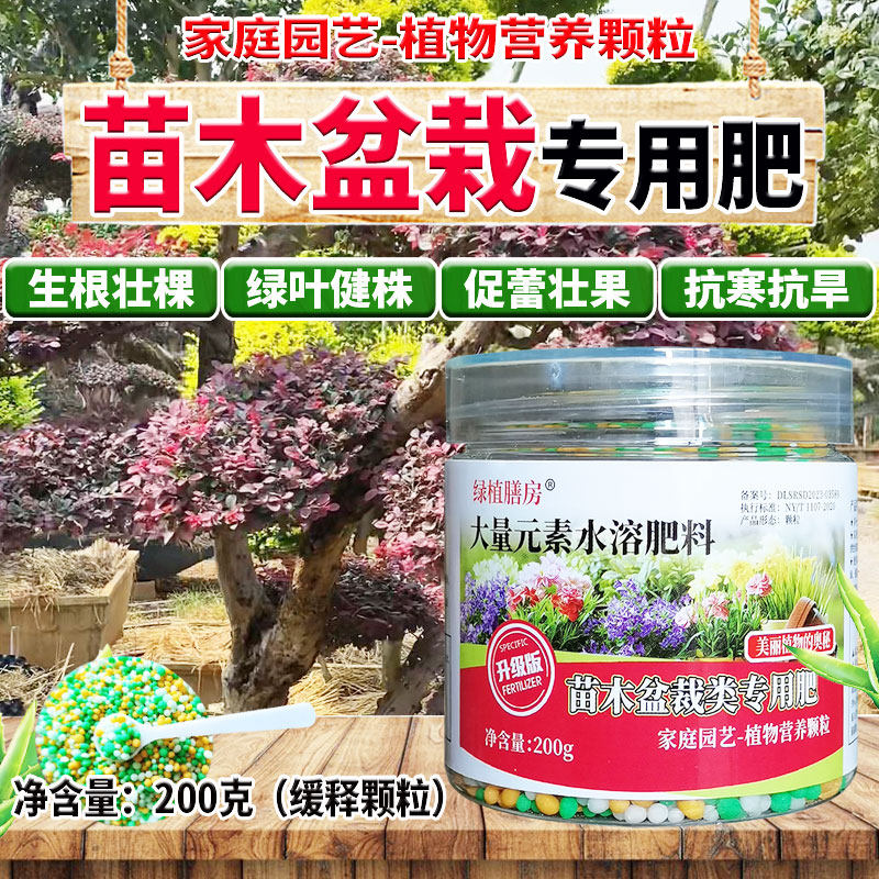 苗木盆景专用肥盆栽苗木盆景缓释肥肥效持久绿叶健株茎秆粗壮强健