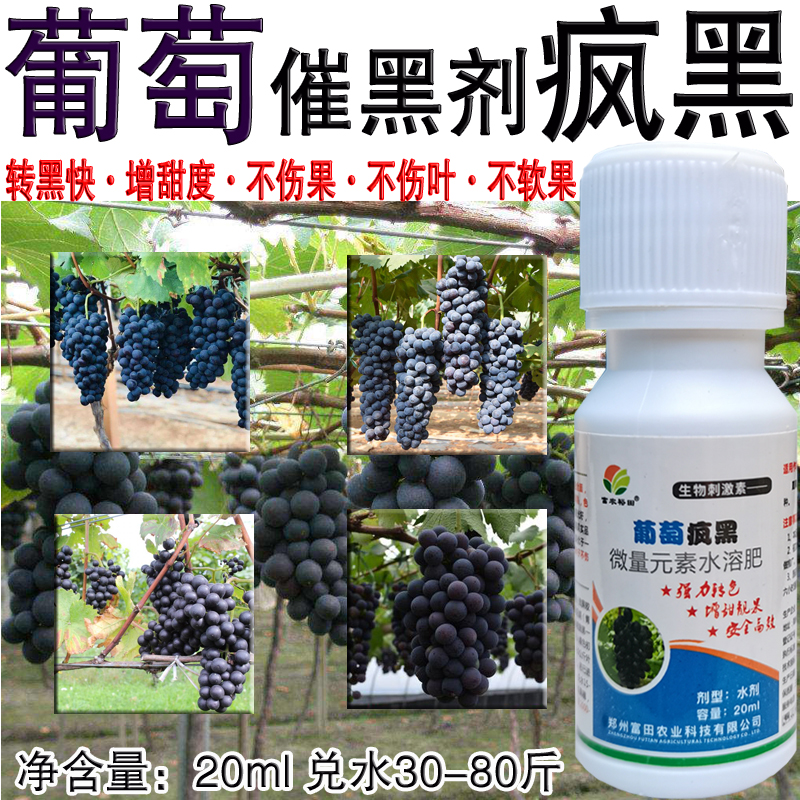 葡萄疯黑葡萄催黑上色剂快速上色催黑增甜膨果不硬梗不软果不落粒