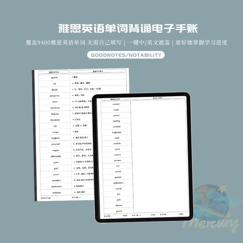 雅思单词电子手帐背诵中英文遮盖