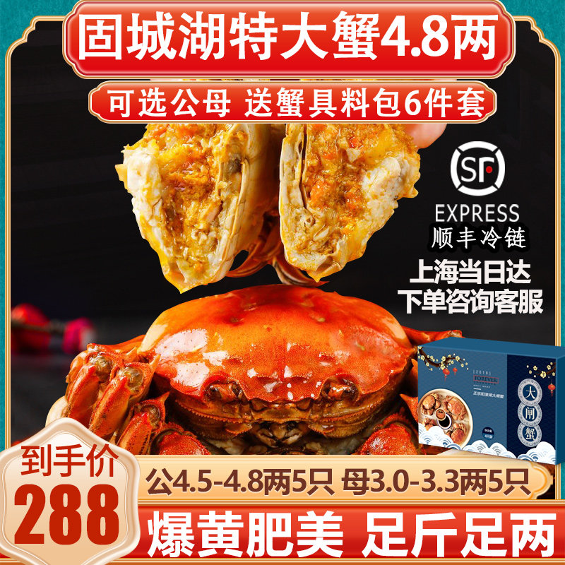 特大现货大闸蟹鲜活螃蟹10只海鲜水产全公母新鲜兴化红膏活蟹包邮,水产肉类/新鲜蔬果/熟食,大闸蟹,淘宝优惠券,粉丝福利购,淘宝优惠卷