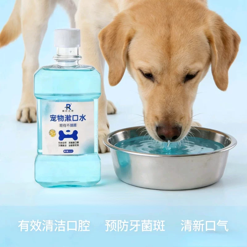 MOH猫后宠物洁齿水狗狗猫咪益生菌洁牙 减少口气漱口水 口腔清洁