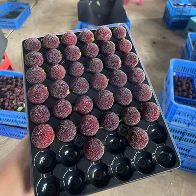 云南杨梅荸荠黑炭超甜现摘礼盒